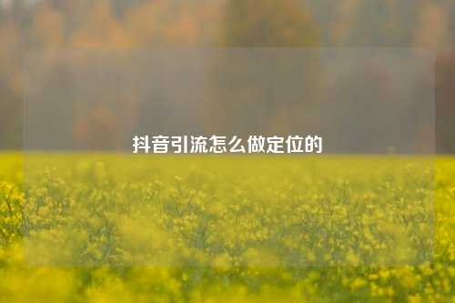 抖音引流怎么做定位的