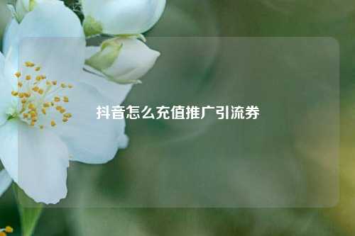 抖音怎么充值推广引流券
