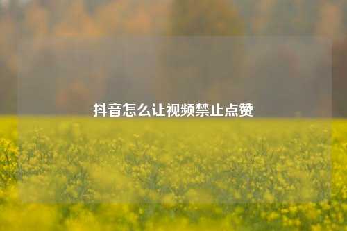 抖音怎么让视频禁止点赞