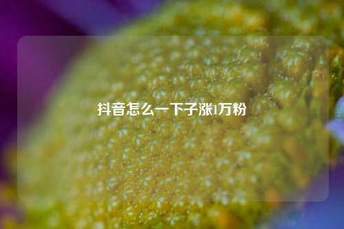 抖音怎么一下子涨1万粉