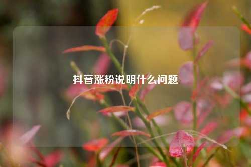 抖音涨粉说明什么问题