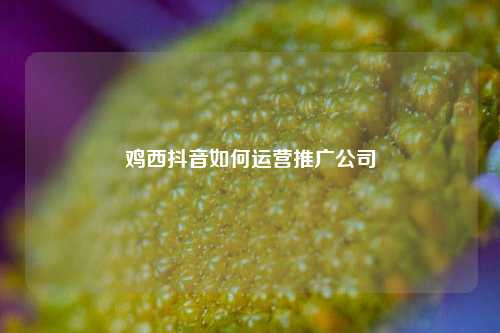 鸡西抖音如何运营推广公司