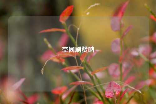 空间刷赞呐