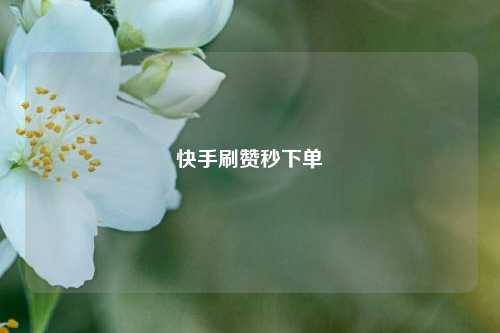 快手刷赞秒下单