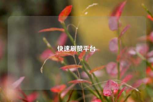 快速刷赞平台
