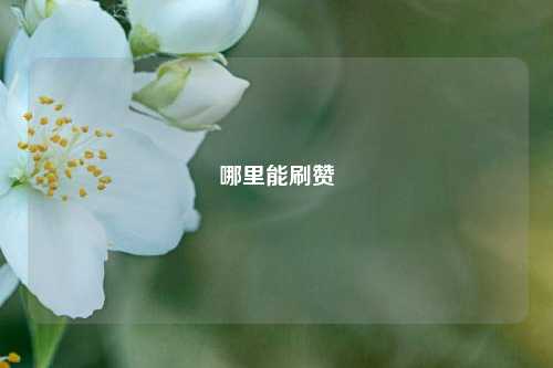 哪里能刷赞