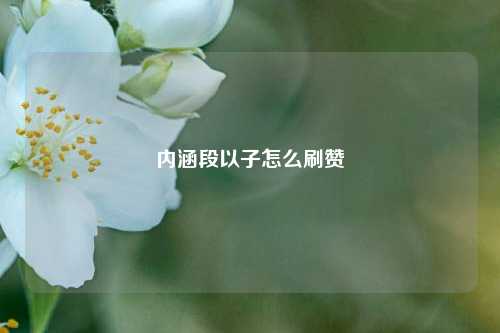 内涵段以子怎么刷赞