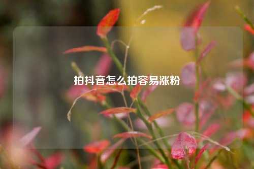 拍抖音怎么拍容易涨粉