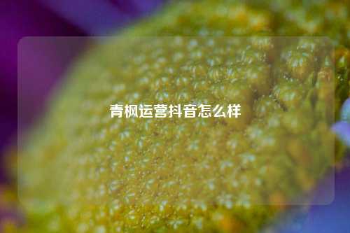 青枫运营抖音怎么样