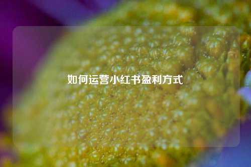如何运营小红书盈利方式