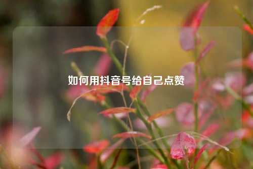 如何用抖音号给自己点赞