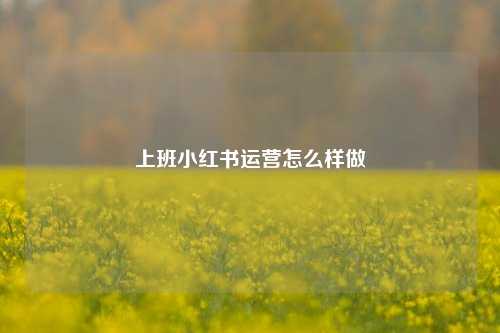 上班小红书运营怎么样做