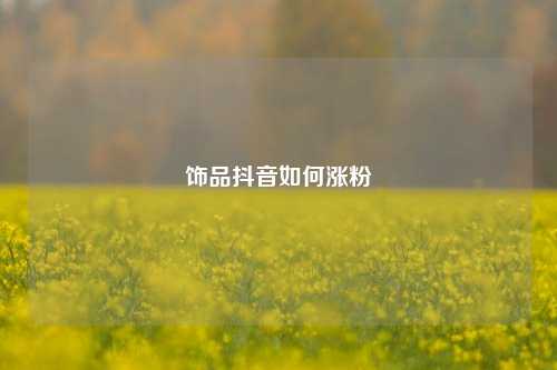 饰品抖音如何涨粉