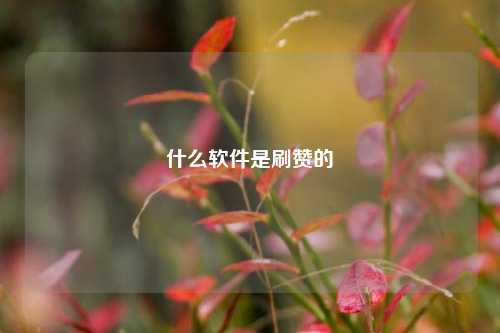 什么软件是刷赞的