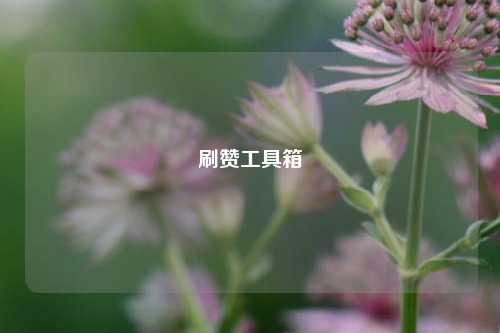 刷赞工具箱