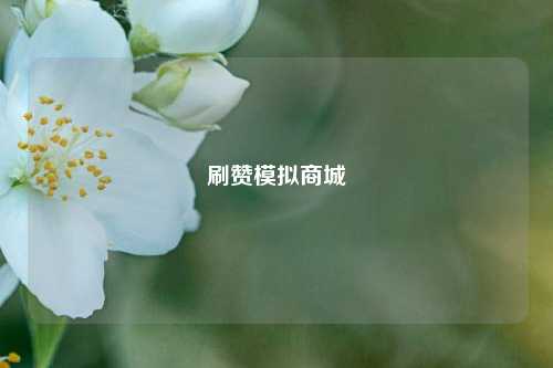刷赞模拟商城