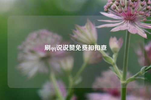 刷qq说说赞免费扣扣查